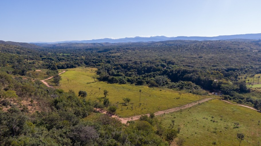 WhatsApp Image 2025-11-26 at 15.02.57.jpeg